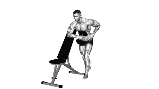 Dumbbell Bench Supported External Rotation exercise demonstration