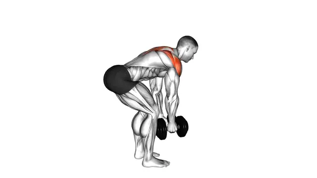 Dumbbell Bent Over Alternate Rear Delt Fly exercise demonstration
