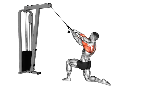 Cable Kneeling Rear Delt Row (with rope) exercise demonstration
