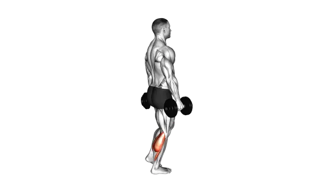 Dumbbell Standing Single Leg Calf Raise exercise demonstration