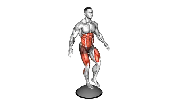Single Leg Stand on Bosu Ball exercise demonstration