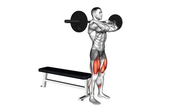 Barbell Front Bench Squat exercise demonstration