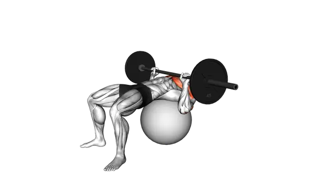 Barbell Chest Press on Stability Ball exercise demonstration
