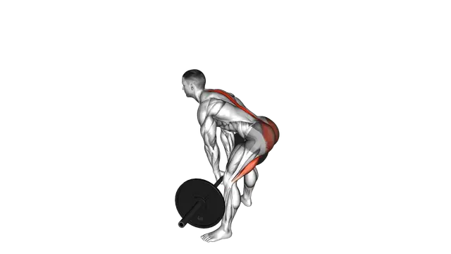 Barbell Sumo Romanian Deadlift exercise demonstration