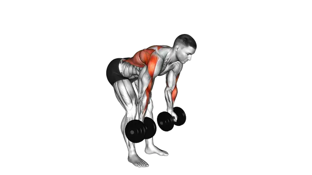 Dumbbell Bent Over Reverse Row exercise demonstration