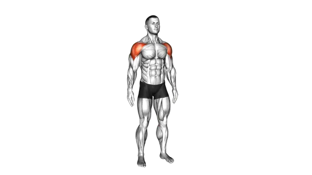 Mid Air Lateral Raises With Switching Palms exercise demonstration