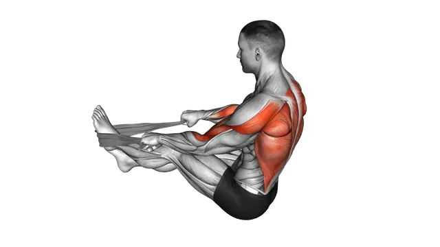 Seated Row with Towel exercise demonstration