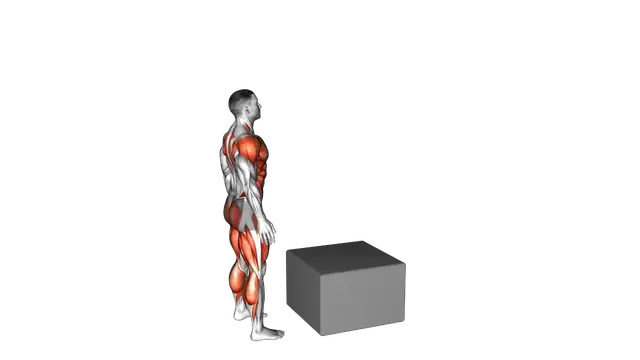 Jump Box Over exercise demonstration