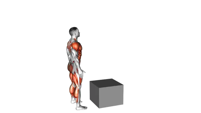 Jump on Fit Box exercise demonstration