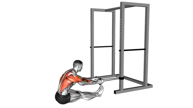 Band seated row exercise demonstration