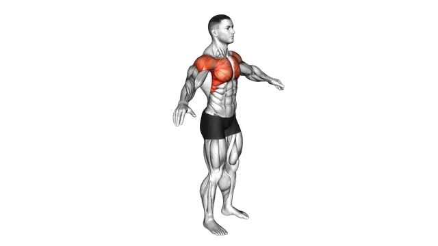 Arm Circles exercise demonstration
