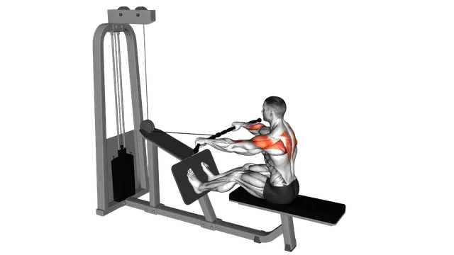 Cable Rear Delt Row exercise demonstration