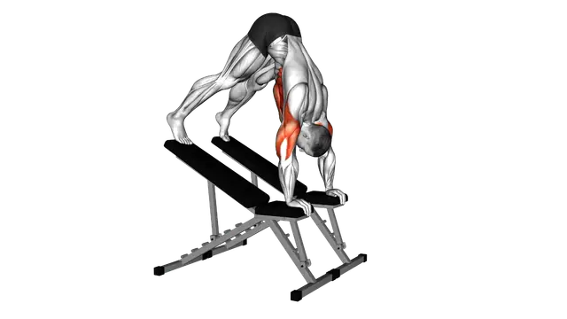 Decline Pike Press (between benches) exercise demonstration