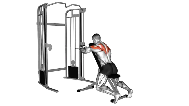 Cable Seated Rear Delt Fly with Chest Support exercise demonstration