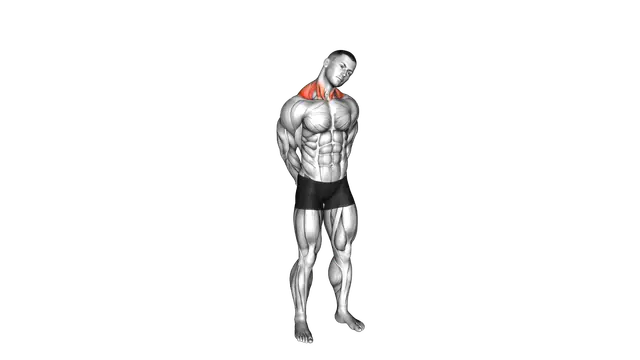 Neck Circle Stretch exercise demonstration