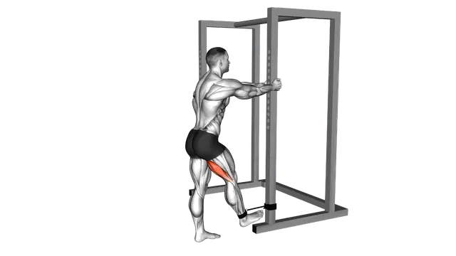 Band standing leg curl exercise demonstration