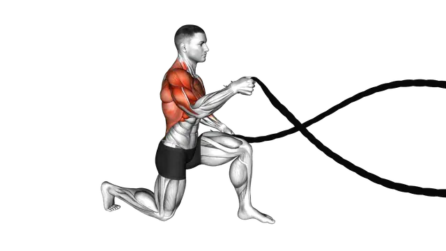 Battling Ropes Half Kneeling exercise demonstration