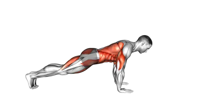 Bird Dog Push Up exercise demonstration