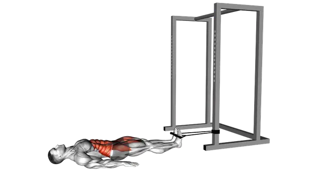 Band Reverse Crunch exercise demonstration