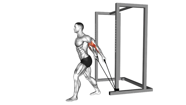 Band 45 degrees Biceps Curl exercise demonstration
