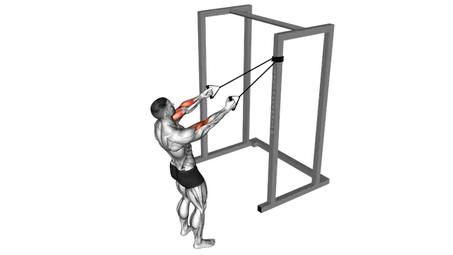 Band Cross Chest Biceps Curl exercise demonstration