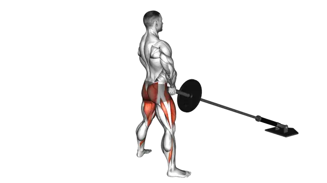 Landmine Sumo Squat exercise demonstration