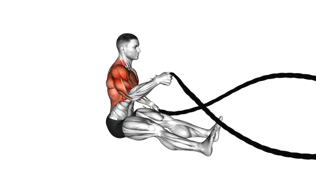 Battling Ropes Seated exercise demonstration