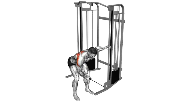 Cable One Arm Reverse Fly exercise demonstration