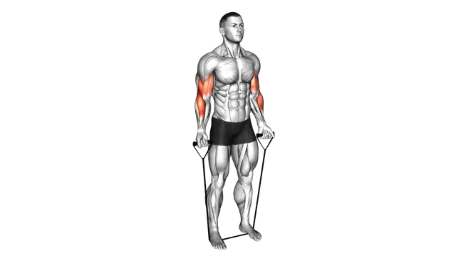 Band Close Grip Biceps Curl exercise demonstration