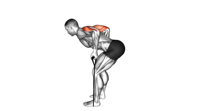 Band Triceps Kickback exercise demonstration