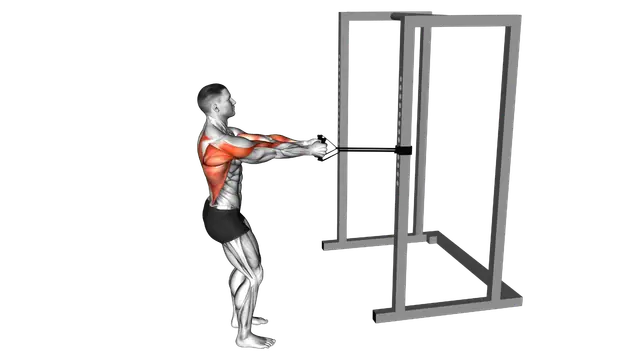 Band Close Grip Row exercise demonstration