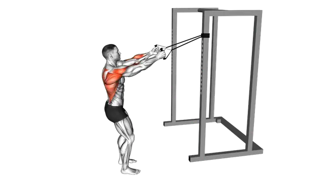 Band Narrow Grip High Row exercise demonstration