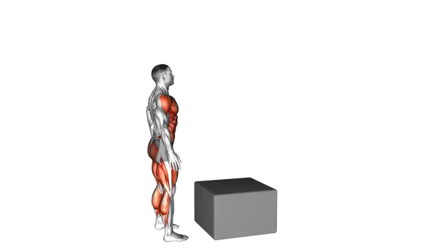 Jump Pistol Squat Box exercise demonstration