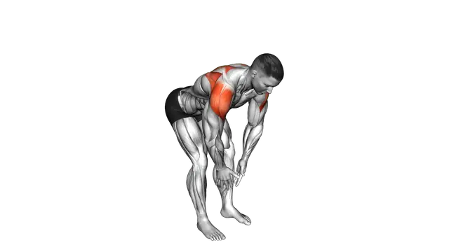 Bodyweight Bent Over Rear Delt Fly exercise demonstration