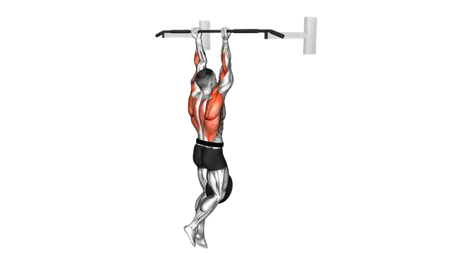 Weighted Hang Chin Up exercise demonstration