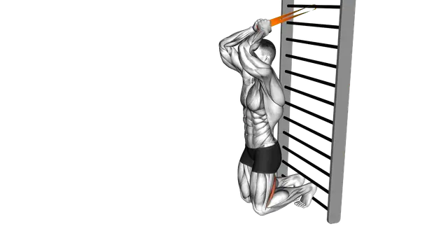 Resistance Band Assisted Nordic Hamstring Curl exercise demonstration