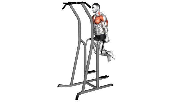 Band Assisted Dip exercise demonstration