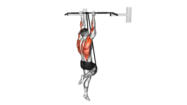 Band Assisted Chin Up (From Knee) exercise demonstration