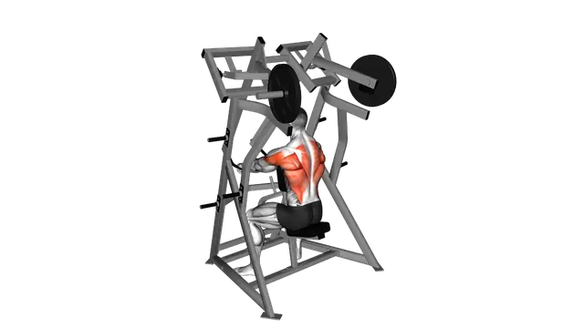 Lever Low Row (plate loaded) exercise demonstration