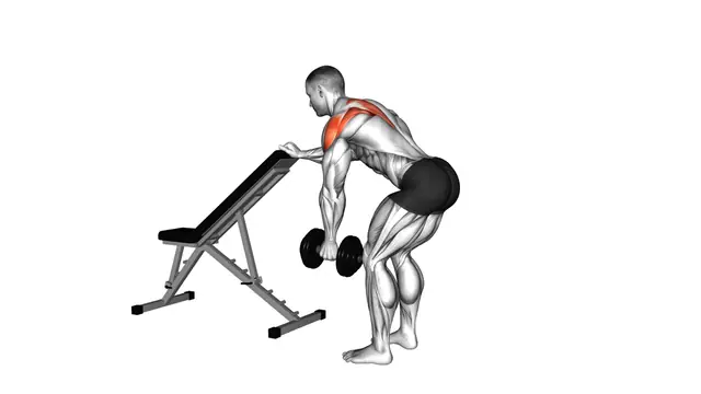 Dumbbell One Arm Reverse Fly (with support) (VERSI exercise demonstration