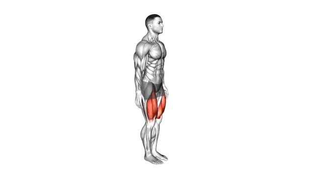 Knee Raise Stretch exercise demonstration