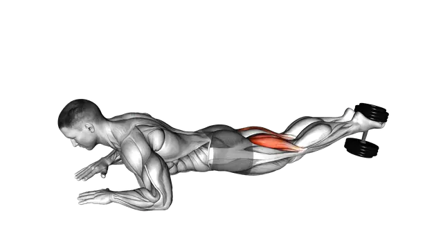 Dumbbell Lying Hamstring Curl exercise demonstration