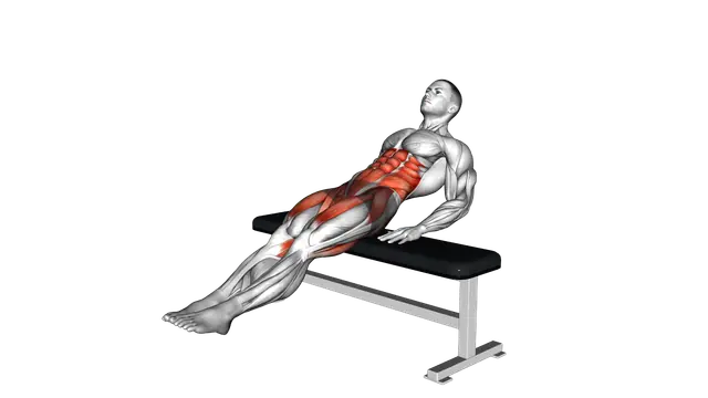 Bench Reverse Crunch Circle exercise demonstration