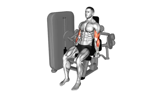 Lever Biceps Curl exercise demonstration