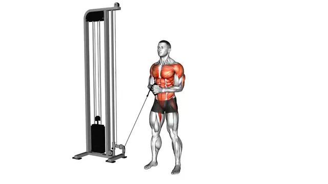 Cable horizontal Pallof Press exercise demonstration