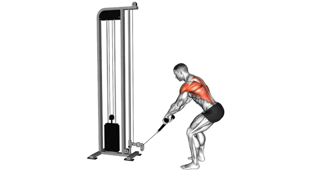 Cable Low Row with Rope Attachment exercise demonstration
