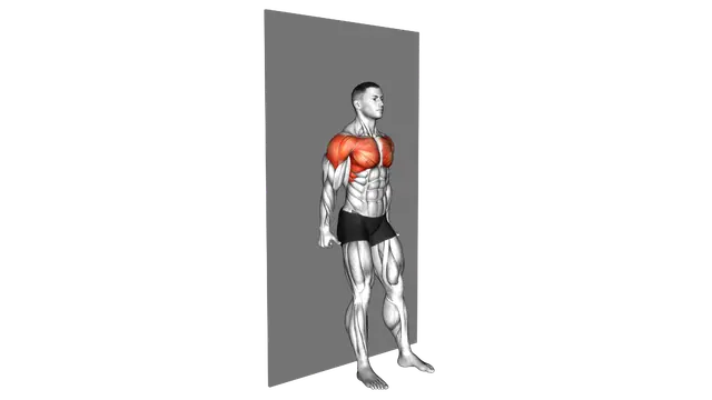 Alternating Shoulder Flexion Back to Wall (Y Raise exercise demonstration