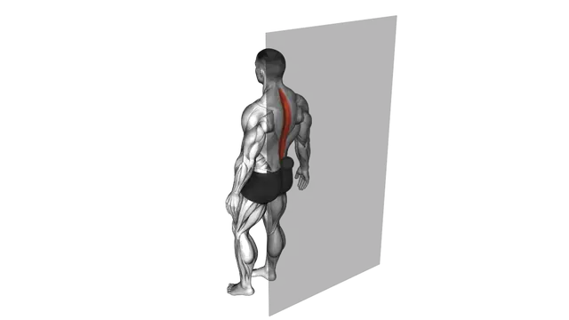 Roll Ball Erector Spinae exercise demonstration