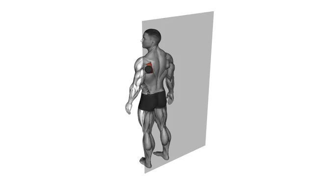 Roll Ball Infraspinatus Stretch exercise demonstration