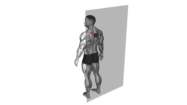 Roll Ball Rhomboid exercise demonstration